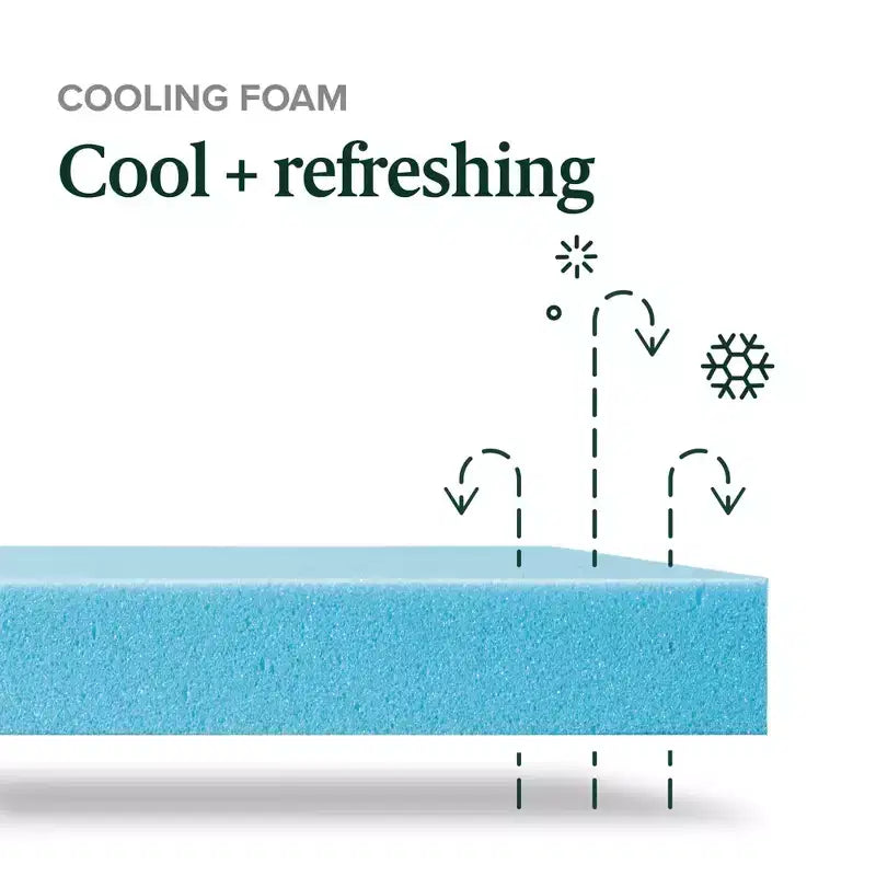 Matelas en mousse à mémoire de forme rafraîchissant au thé vert de 10 po – Grand lit, sans fibre de verre, fermeté moyenne